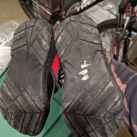 Vicente - Picture 3 of 4